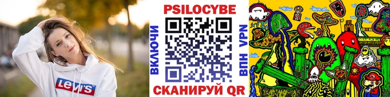 Псилоцибиновые грибы Psilocybine cubensis  Малаховка 